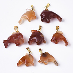 Chocolate Natural Agate Pendants, with Golden Plated Metal(Brass or Iron Materials Random Delivery) Snap On Bails, Dyed, Dolphin, Chocolate, 19~23x17~18x9~10mm, Hole: 3x6mm