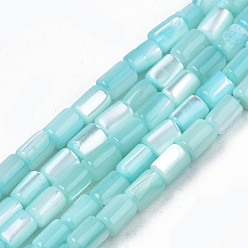Pale Turquoise Natural Trochid Shell/Trochus Shell Beads Strands, Dyed, Column, Pale Turquoise, 4~5x3~3.5mm, Hole: 0.9mm, about 77~78pcs/strand, 15.55 inch~15.75 inch(39.5~40cm)