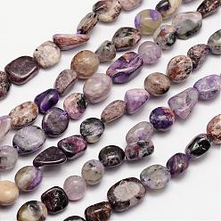 Charoita Hebras de perlas naturales charoite, piedra caída, pepitas, 3~14x3~14 mm, agujero: 1 mm, alrededor de 15.35 pulgada