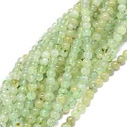 Prehnite Natural Prehnite Beads Strands, Round, 4mm, Hole: 0.8mm, about 84pcs/strand, 15.55 inch(39.5cm)