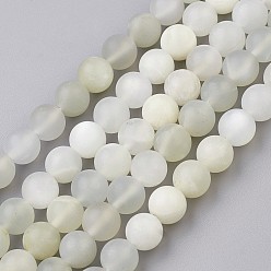 White Moonstone Naturelles perles pierre de lune blanc brins, givré, ronde, 7~8.5mm, Trou: 0.5mm, Environ 46 pcs/chapelet, 14.9 pouce (38 cm)