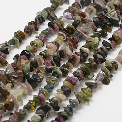 Tourmaline Natural Tourmaline Beads Strands, Chip, Grade B, 3~5x7~13x2~4mm, Hole: 0.4mm, 35 inch