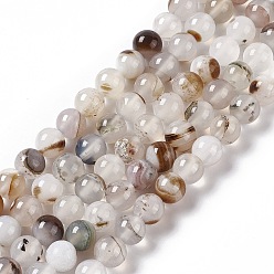 Natural Agate Natural Agate Beads Strands, Grade AB, Round, 8mm, Hole: 1.2mm, about 49pcs/strand, 14.96 inch(38cm)