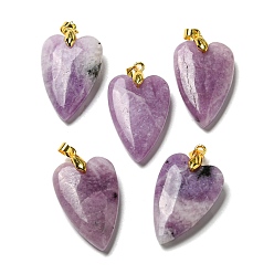 Lepidolite Natural Lepidolite Pendants, with Rack Plating Golden Plated Brass Findings, Long-Lasting Plated, Heart, 32~34x20x8mm, Hole: 4x4mm