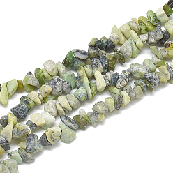 Serpentine Natural Serpentine Beads Strands, Chip, 5~11x3~9x1~9mm, Hole: 1mm, about 200~300pcs/strand, 33.8 inch