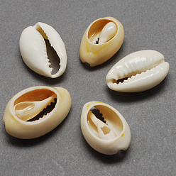 Bisque Natural Cowrie Shell Beads, Oval, No Hole/Undrilled, Bisque, 20~23x14~20x9~13mm