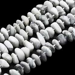 Howlite Chapelets de perles howlite naturelles , avec des perles de rocaille, plat, 7~13x8~9x3~4mm, Trou: 1mm, Environ 75 pcs/chapelet, 14.76'' (37.5 cm)
