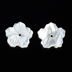 Белые Ракушки Натуральные белые ракушки из перламутровых ракушек, цветок, 12x12x2 мм, отверстие : 1 мм