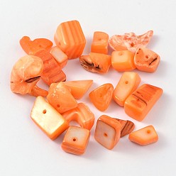 Naranja Cuentas de chips de concha de agua dulce natural, fragmentos de concha, teñido, naranja, 8~17x5~7x4~6 mm, Agujero: 1 mm, sobre 640 unidades / 500 g