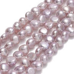Chardon Brins de perles de culture d'eau douce naturelles, deux faces polies, chardon, 5x5~6x3.5~4mm, Trou: 0.6mm, Environ 72 pcs/chapelet, 13.98~14.17'' (35.5~36 cm)
