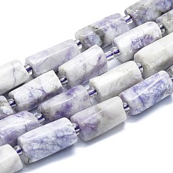 Натуральная Бирюза Нити натуральных фиолетовых бирюзовых бусин, с бисером, граненые, колонка, 12~13x6~8x6~8 мм, отверстие : 1 мм, около 28 шт / нитка, 15.55''~15.75' (39.5~40 см)