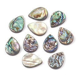 Colorido Abalone shell / paua shell beads, lágrima, colorido, 18x13x3 mm, agujero: 1 mm