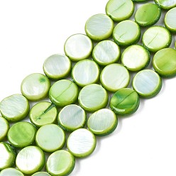 Olive Terne Chapelets de perles en coquille eau douce , teint, plat rond, vert olive, 8x2.5~3.5mm, Trou: 0.8mm, Environ 50~51 pcs/chapelet, 15.35 pouces~15.75 pouces (39cm~40cm)