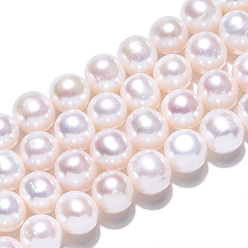 Coquillage De Mer Brins de perles de culture d'eau douce naturelles, ronde, couleur de coquillage, 8~10mm, Trou: 0.5mm, Environ 46~47 pcs/chapelet, 15.55~15.71 pouce (39.5~39.9 cm)