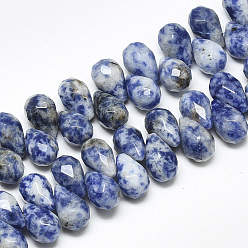 Jaspe Avec Point Bleu Perles de jaspe tache bleue naturelle, perles percées, facette, larme, 9~9.5x6mm, Trou: 0.8mm, Environ 44 pcs/chapelet, 7.6 pouce
