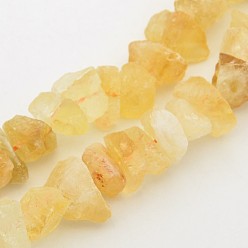 Citrine Natural Citrine Nuggets Bead Strands, 12~16x6~15mm, Hole: 1mm, about 15.7 inch