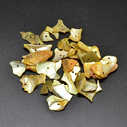 Золотистый Окрашенные натуральные перламутровые ракушки, самородки, чипсы, бусины, золотые, 5~18x5~11 мм, отверстие : 2 мм, Около 1980 шт / 500 г