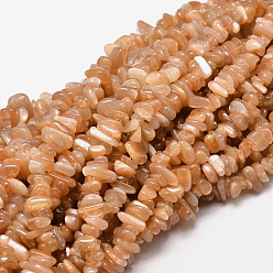 Sunstone Natural Sunstone Chip Beads Strands, 5~14x4~10mm, Hole: 1mm, about 15.5 inch~16.1 inch