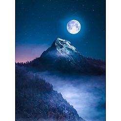 Lune Kit de fabrication de peinture diamant paysage, y compris le panneau acrylique, sac de strass en résine, lune, 400x300mm