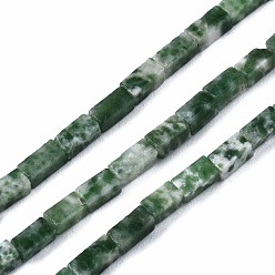 Камень с Зелеными Точками Натуральные зеленые пятна яшмовых нитей, кубоид, 4~5x2x2 мм, отверстие : 0.8 мм, около 82~84 шт / нитка, 14.76~15.15 дюйм (37.5~38.5 см)