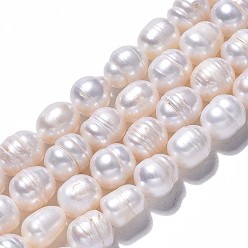 Seashell Color Natural Cultured Freshwater Pearl Beads Strands, Rice, Seashell Color, 8.5~10.5x7.5~8.5mm, Hole: 0.8mm, about 17~18pcs/strand, 7.28 inch~7.68 inch(17cm~18cm)