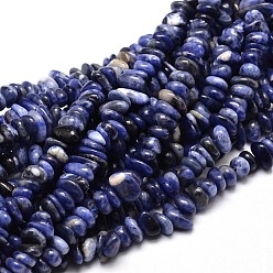 Sodalite Natural Sodalite Chip Beads Strands, 4~14x4~12mm, Hole: 1mm, about 15.3 inch~16.1 inch