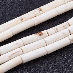 Blanc Brins de perles de magnésite naturelle, teint, colonne, blanc, 12~14x4mm, Trou: 1mm, environ 30 / pcs brins, 15.7 pouce (40 cm)