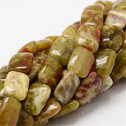 Dragon Blood Rectangle Natural Dragon Blood Jasper Beads Strands, 18x13x6mm, Hole: 1mm, about 22pcs/strand, 15.75 inch