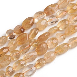 Citrine Natural Citrine Beads Strands, Nuggets, Dyed & Heated, Tumbled Stone, 10~15x7.5~11.5x7.5~12.5mm, Hole: 1mm, about 36pcs/Strand, 15.67 inch(39.8 cm)