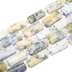 White African Opal Natural White African Opal Beads Strands, Rectangle, Faceted, 27~29x13~14x6~7mm, Hole: 1.5mm, about 12pcs/Strand, 14.96 inch(38cm)