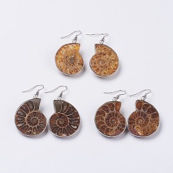 Mixed Color Fossil Spiral Dangle Earrings, with Brass Findings, Shell, Platinum, Mixed Color, 33~53x18~28x6~10mm, Pin: 0.6mm