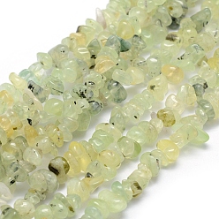Prehnite Natural Prehnite Beads Strands, Chip, 5~8mm, Hole: 1mm, about 33 inch(84cm)