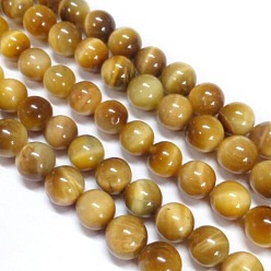 Verge D'or Chapelets de perles oeil de tigre naturelles, teint, ronde, verge d'or, 8mm, Trou: 1mm, Environ 48 pcs/chapelet, 15.75 pouce