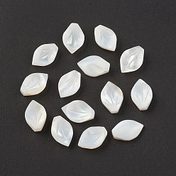 Autres Coquillages De Mer Perles de coquillage de mer naturelle, perles percées, feuille, 13x8.5x3mm, Trou: 1mm