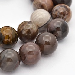 Pétrifié En Bois Bois pétrifié naturel perles rondes brins, 6mm, Trou: 1mm, Environ 60 pcs/chapelet, 15.7 pouce
