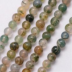 Moss Agate Natural Moss Agate Bead Strands, Round, 3~3.5mm, Hole: 0.7mm, about 115~125pcs/strand, 16 inch