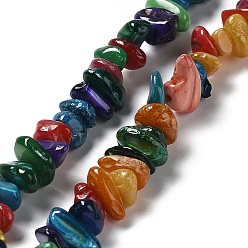Colorful Natural Freshwater Shell Dyed Beads Strands, Chip, Colorful, 1~8x5~17x5~8mm, Hole: 0.9~1mm, 30.31~31.50''(77~80cm)