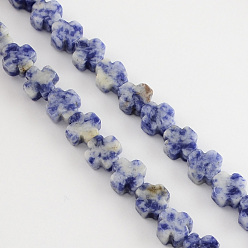 Bleu Royal Perles de jaspe tache bleue naturelle, croix grecque, bleu royal, 8x8x4mm, Trou: 1mm, Environ 50 pcs/chapelet, 16.9 pouce
