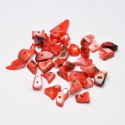 Naranja Rojo Pepitas de concha natural teñidas chips cuentas, rojo naranja, 11~16x6~9 mm, agujero: 1 mm, Sobre 980 unidades / 500 g