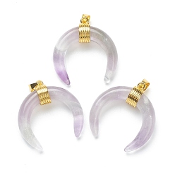 Amethyst Natural Amethyst Pendants, with Golden Brass Findings, Double Horn/Crescent Moon, 31~33x30x10mm, Hole: 6x4mm