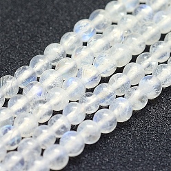 Rainbow Moonstone Natural Rainbow Moonstone Beads Strands, Grade AB+, Round, 4mm, Hole: 1mm, about 94pcs/strand, 15.5 inch(39.5cm)