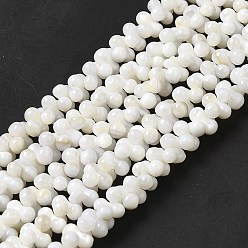 Beige Cuentas de concha de perla natural hebras, maní, crema, 7.5~8x3.5~4 mm, agujero: 0.9 mm, sobre 127 unidades / cadena, 15.08'' (38.3 cm)