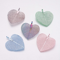 Mixed Color Natural Leaf Pendants, with Brass Findings, Heart, Mixed Color, 45~48x40~41x0.6mm, Hole: 3x6mm