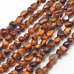 Tiger Eye Natural Tiger Eye Beads Strands, Nuggets, 3~5x3~5x3~8mm, Hole: 1mm, about 85~90pcs/strand, 15.7 inch(40cm)