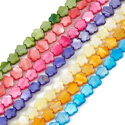 Couleur Mélangete Brins de perles d'eau douce naturelles teintes en coquillage, fleur, couleur mixte, 8x8.5x3mm, Trou: 0.6mm, Environ 49 pcs/chapelet, 15.35'' (39 cm)