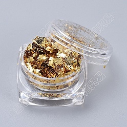 Verge D'or Pâle Flocons d'aluminium, flocons de dorure bricolage, pour remplissage d'accessoires de bijoux époxy, verge d'or pale, boîte: 2.9x1.6cm