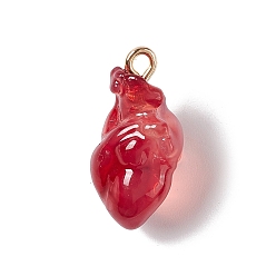 Rouge Indien Pendentifs en résine transparente, charmes de coeur anatomiques, avec boucles en fer plaqué or, rouge indien, 20.5~21.5x11.5x11mm, Trou: 2mm