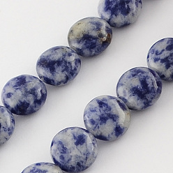 Jaspe Avec Point Bleu Brins de perles de jaspe de tache bleue naturelle, plat rond, 10x5mm, Trou: 1mm, Environ 40 pcs/chapelet, 15.7 pouce