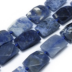 Sodalite Natural Sodalite Beads Strands, Faceted, Rectangle, 23.5~24.5x17.5~18x7.5~9mm, Hole: 1.5mm, about 15pcs/strand, 15.6~16.8 inch(39.8~42.7cm)