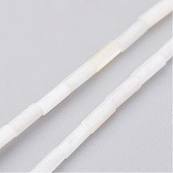 Floral White Natural Shell Bead Strands, Dyed, Column, Floral White, 6x2mm, Hole: 0.5mm, about 67pcs/strand, 15.2 inch